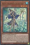 Product image for Water Enchantress of the Temple