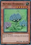 Product image for Naturia Hydrangea