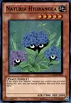 Product image for Hortensia Naturia