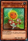 Product image for Tournesol Naturia