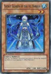 Product image for Secret Guards of the Ice Barrier