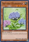 Product image for Naturia Hydrangea