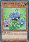Product image for Naturia Hydrangea