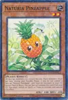 Product image for Ananas Naturia