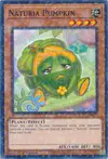 Product image for Naturia Pumpkin