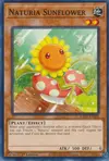 Product image for Naturia Sunflower