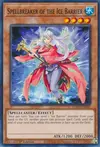 Product image for Spellbreaker of the Ice Barrier