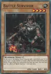 Product image for Battle Survivor