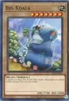 Product image for Koala Géant