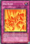Product image for Big Burn