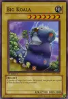 Product image for Big Koala