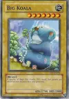 Product image for Koala Géant
