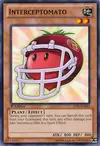 Product image for Interceptomato