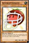 Product image for Interceptomato