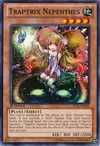 Product image for Traptrix Nepenthes