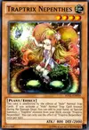Product image for Traptrix Nepenthes