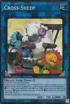 Product image for Cross-Sheep