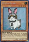 Product image for Rescue Rabbit