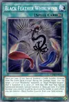 Product image for Black Feather Whirlwind