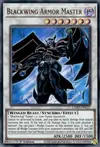 Product image for Blackwing Armor Master