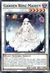 Product image for Garden Rose Maiden