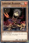 Product image for Lonefire Blossom