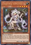 Product image for Traptrix Genlisea