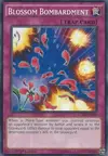 Product image for Blossom Bombardment