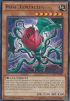 Product image for Rose Tentacles