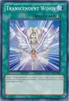 Product image for Transcendent Wings