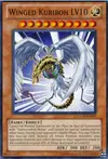 Product image for Winged Kuriboh LV10