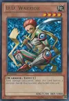 Product image for D.D. Warrior