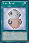 Product image for Stray Lambs
