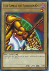 Product image for Left Arm of the Forbidden One