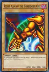 Product image for Right Arm of the Forbidden One