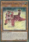 Product image for Amazoness Baby Tiger