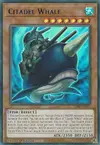 Product image for Citadel Whale