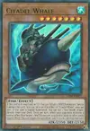 Product image for Citadel Whale