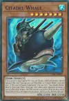 Product image for Citadel Whale