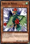 Product image for Bird of Roses