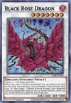 Product image for Dragon Rose Noire