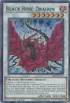 Product image for Dragon Rose Noire