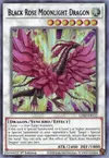 Product image for Dragon Clair de Lune Rose Noire