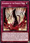 Product image for Blooming of the Darkest Rose