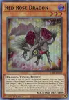Product image for Dragon Rose Rouge