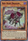 Product image for Dragon Rose Rouge
