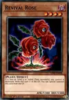 Product image for Revival Rose