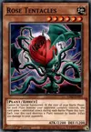 Product image for Rose Tentacles