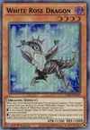 Product image for Dragon Rose Blanche