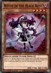 Product image for Witch of the Black Rose